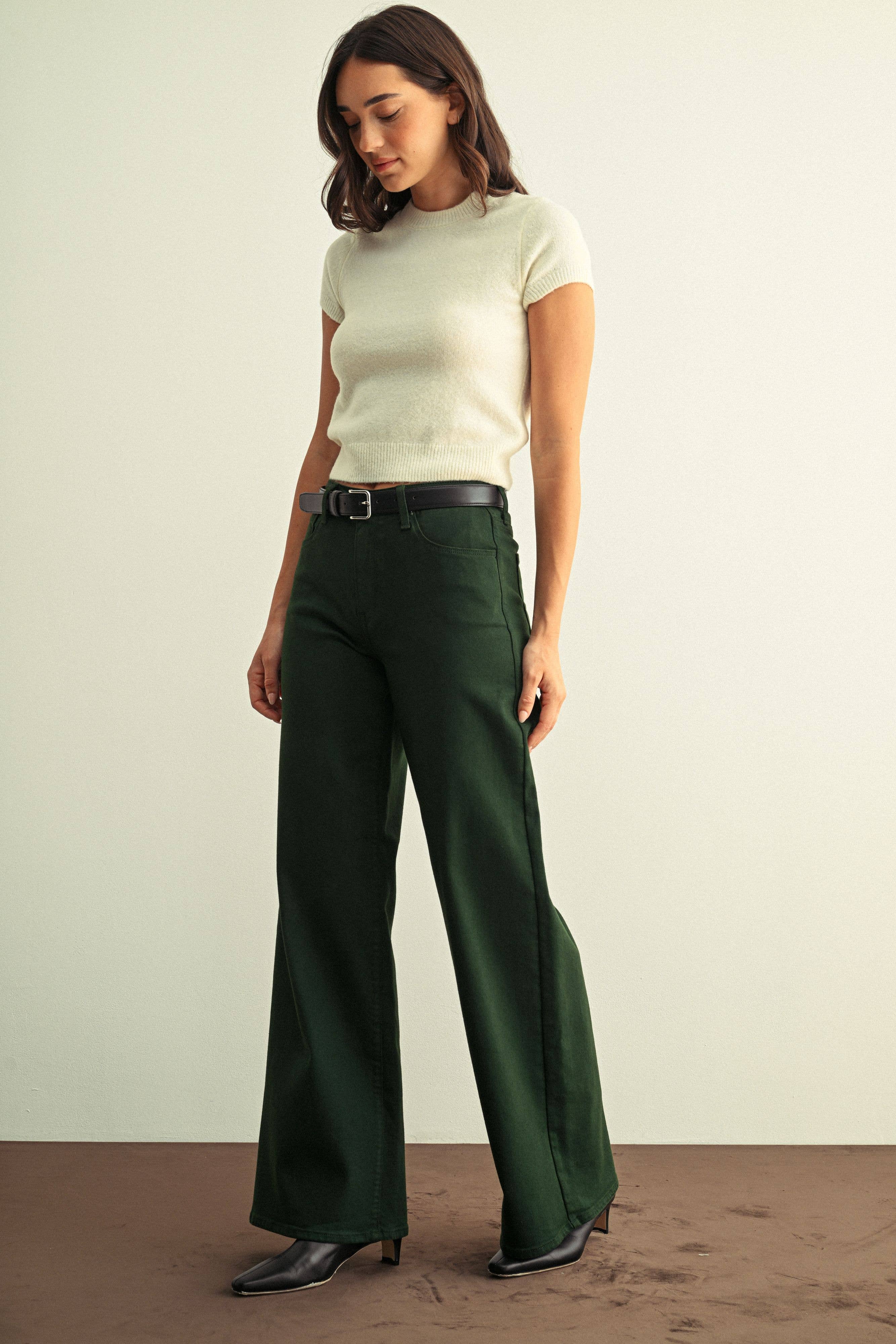 High Rise Stretchy Wide Leg